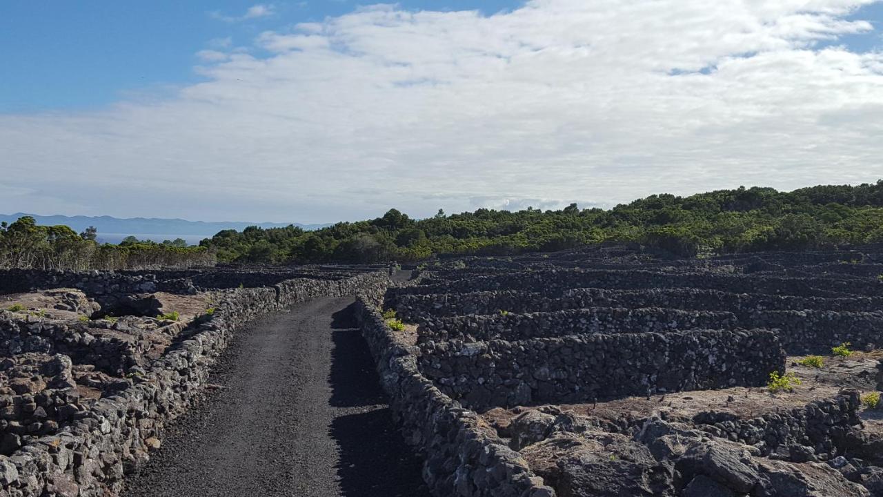 Casa Da Estrela Sirius Villa Cabeco Chao Eksteriør bilde