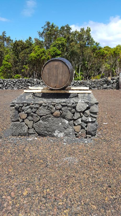 Casa Da Estrela Sirius Villa Cabeco Chao Eksteriør bilde
