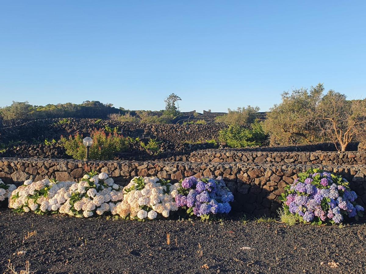 Casa Da Estrela Sirius Villa Cabeco Chao Eksteriør bilde