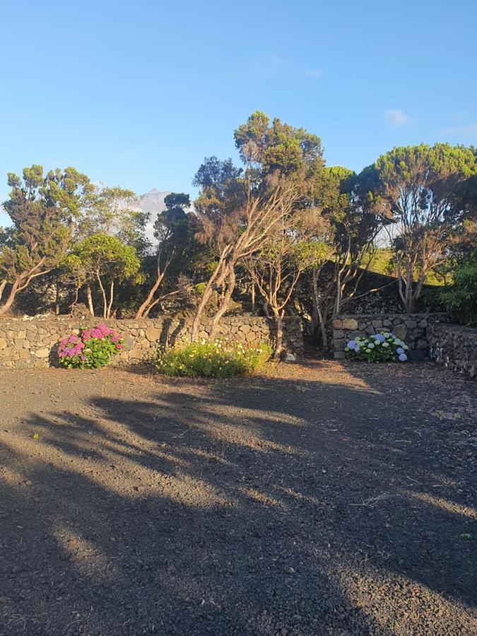 Casa Da Estrela Sirius Villa Cabeco Chao Eksteriør bilde